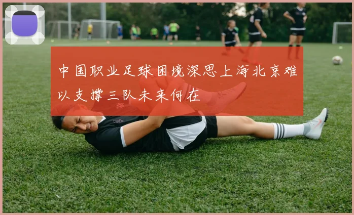 中国职业足球困境深思上海北京难以支撑三队未来何在