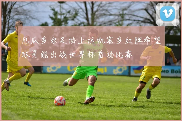 厄瓜多尔足协上诉凯塞多红牌希望球员能出战世界杯首场比赛
