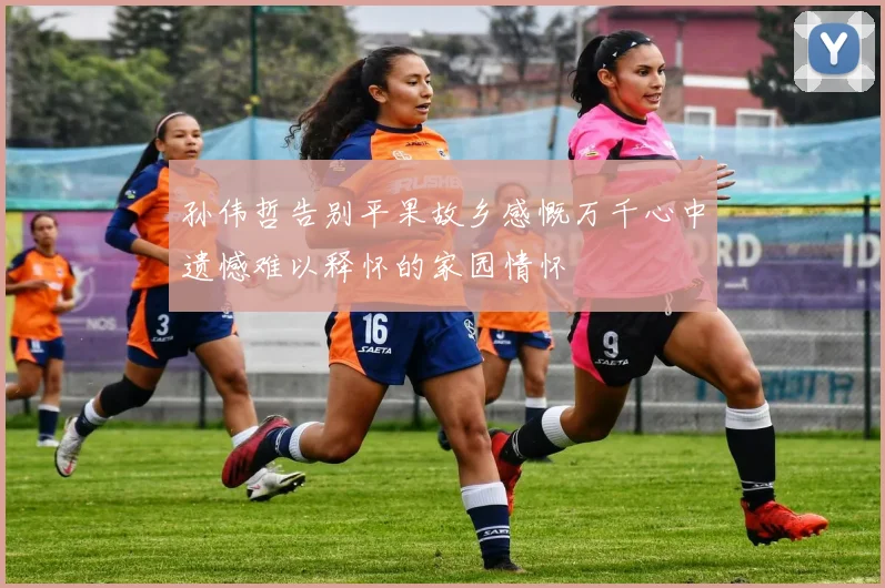 孙伟哲告别平果故乡感慨万千心中遗憾难以释怀的家园情怀