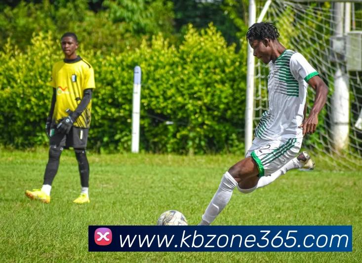 KB官网入口品牌故事