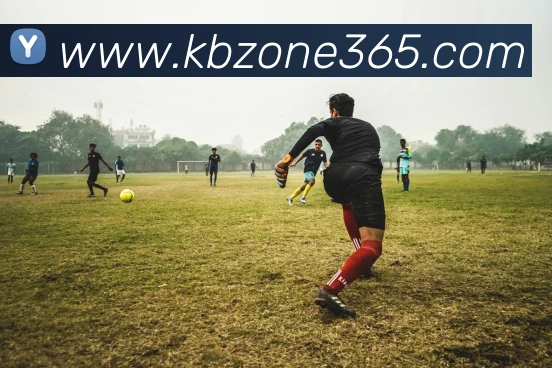 KB官网入口服务体系